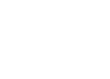 LPS Leadpoint System